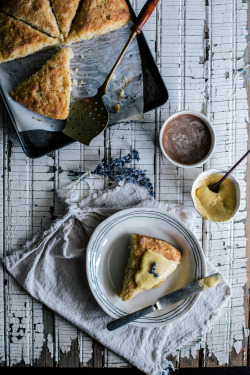 sweetoothgirl:  Cornmeal Brown Butter Scones