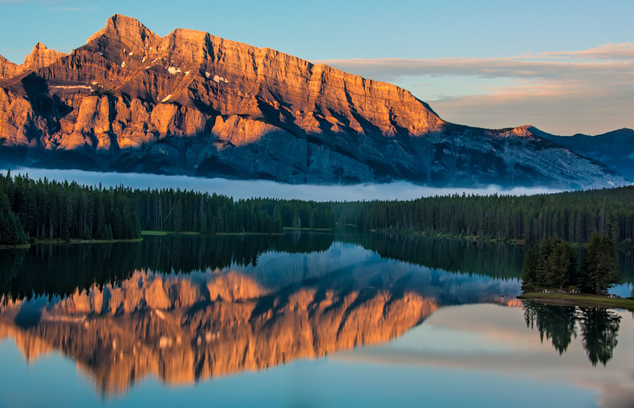 woodendreams:  (by James Wheeler)