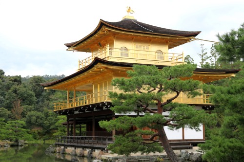 boschintegral-photo:  Kinkaku-Ji  金閣寺Kyoto, Japan