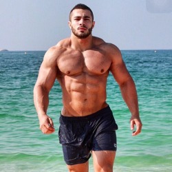 arabfitnessgods:  arabfitnessgods:  Who would say no to this handsome, ripped beas?  Meet Mahmood the Ultimate Muscled God from Palestine living in Dubai.   💯% prime muscle god  @arabiandelights, @arabmenpits, @hotarabmales, @leb4men, @hotarabboys