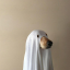 futurefriendlyghost