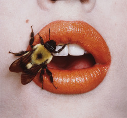 theaterforthepoor:  Irving Penn / Vogue /