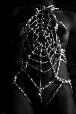 wolflady90:  Art with only ropes..