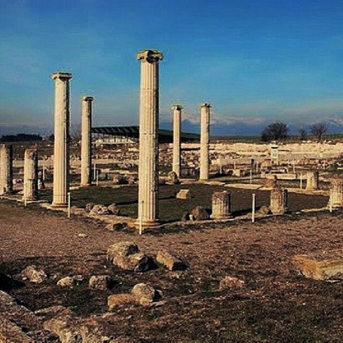 historyoftheancientworld:Ruins of Ancient Pella, a birthplace of Alexander The Great. Pella, Macedon