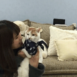 nagisachanoshi:  ♡　Nagisa & her cat　♡
