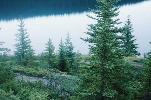 matchbox-mouse: Chilly morning on the mountains, Banff, Alberta.