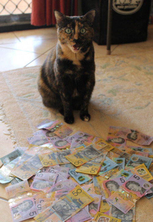 misshannahshome: a-queenoffairys: reblog the money Ziggy for good fortune! Finally! Every time I reb