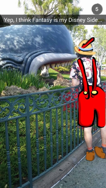 astheshipsways:Can we just appreciate the Disneyland and Walt Disney World snapchats through this 24