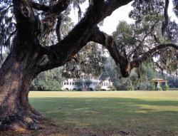 georgiangentility:  Lebanon, built in the 1920s on the foundation of an older house Owned by Mr. Howard Morrison, a cousin of mine Savannah, GA