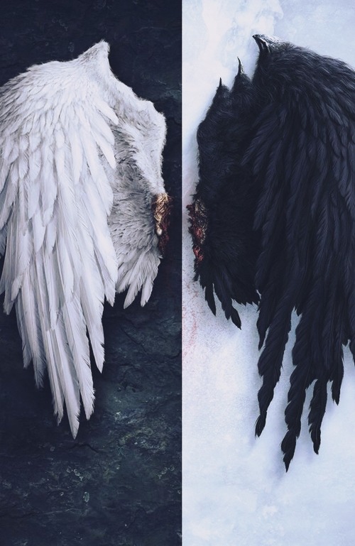 lock-screen:  Lockscreens Hush Hush.Like or reblog if save.