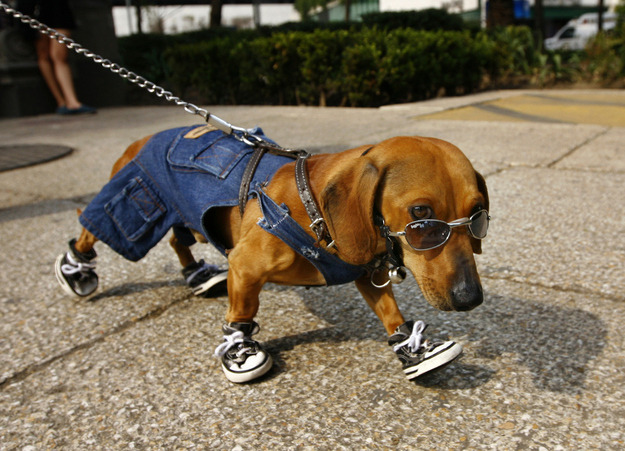 serialchillers:  not braggin just swaggin 