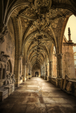 visitheworld:  The gothic cloister of Catedral