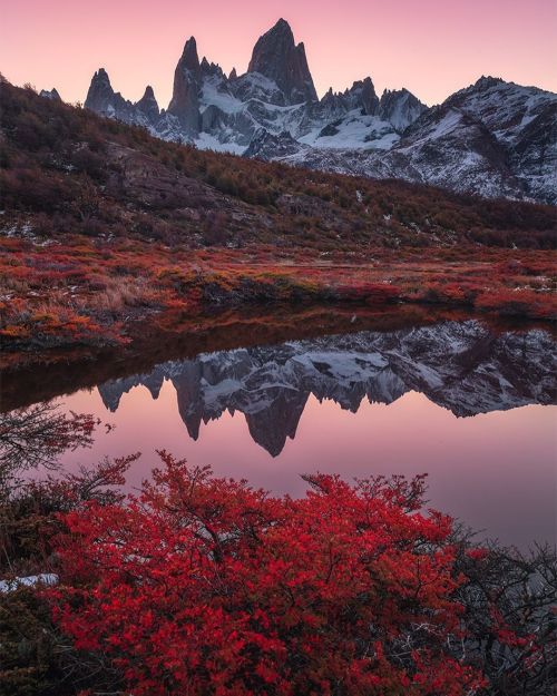 turnnoffyourmind: Autumn colors ɞ Monte Fitz Roy, National Park Los Glaciares, Argentina.