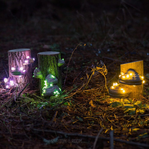 culturenlifestyle: Magical Handmade Lamps adult photos