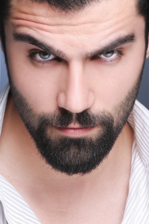 beards carefully curated