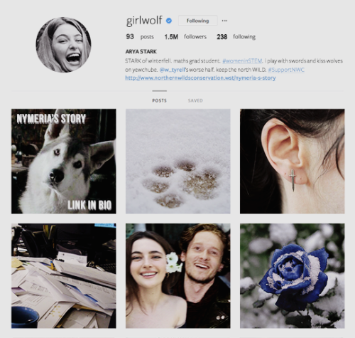 Willas & Arya — Instagram AU