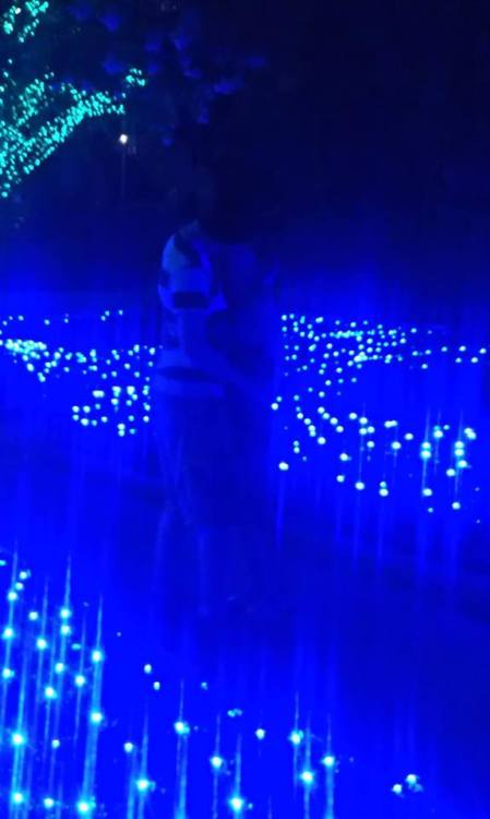 I know it’s hard to see, but that’s me and my boyfriend right after the fireworks at Busch Garden’s Illuminights… It’s one of my favorite memories