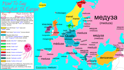 maps-oe:  How to Say ‘Jellyfish’ In Europe with Etymology Btw, Macedonian is supposed to be the same
