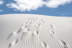 smithsonianmag:  Photo of the Day: Footsteps