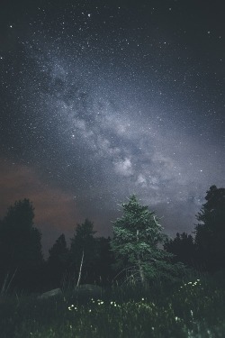 ponderation:  Milkyway In The Wilderness