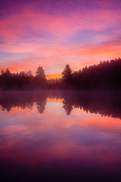 thereflectingthicket - Millennium Journey