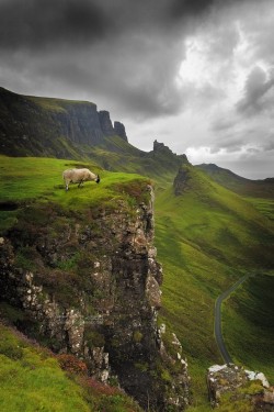 woodendreams:  Scotland (by Philippe Sainte-Laudy) 