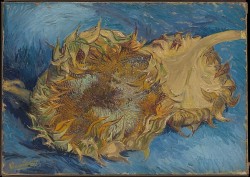 themodernartists: Vincent Van Gogh (Dutch,
