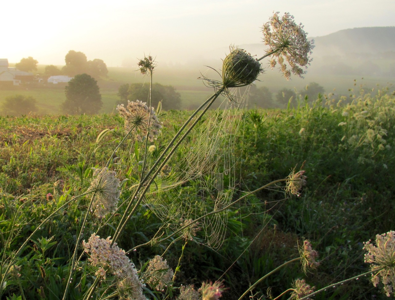 geopsych:  A dreamy day in July, 2015. 