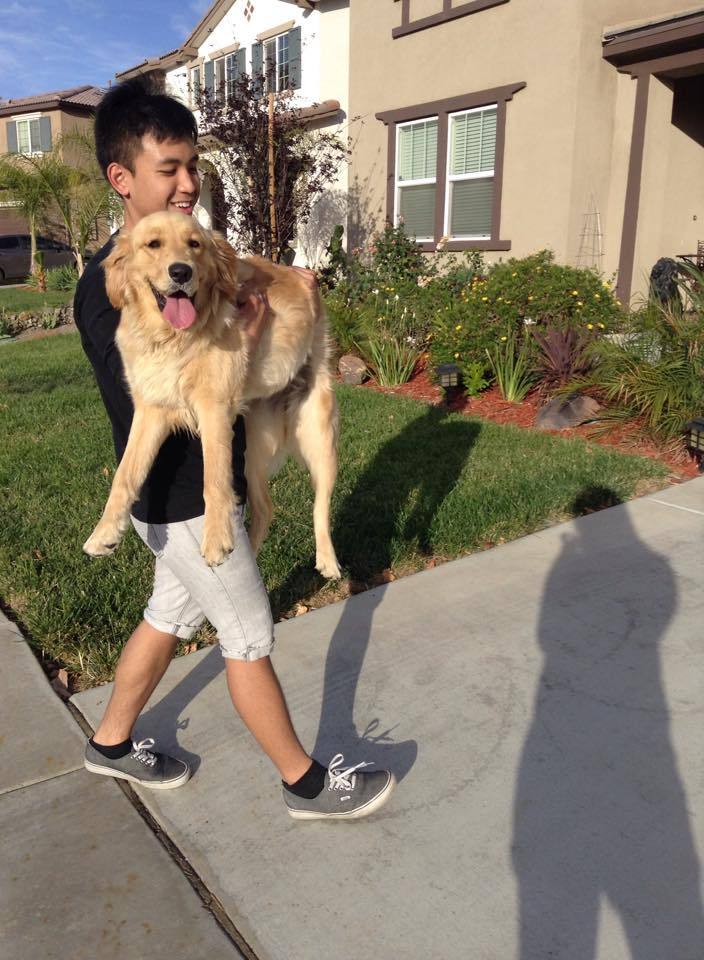 plystation:  tfw ur dog won’t budge so u gotta carry her ass back inside the house
