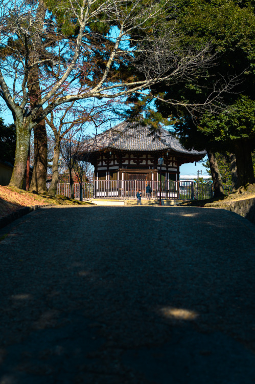 Kōfuku-ji TempleNara, December 2021