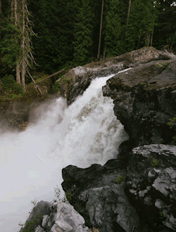 adventuresoncehad:  I’ve run out of things to say about waterfalls.  - Sandy Noto Location: Just outside of Whistler 
