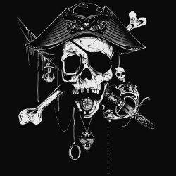 colorlesslifex:Skull Pirate