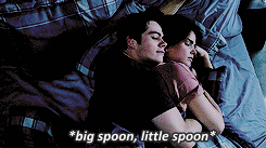 stilesism:  stalia: a summary 