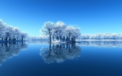 Winter’s silent, tranquil beauty