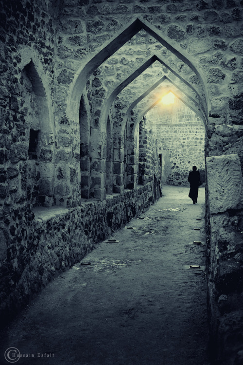 Bahrain Fort by Lious