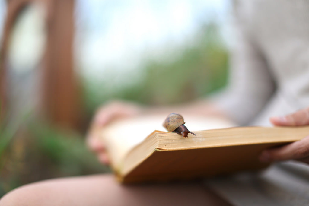 teachingliteracy:  slowly (by nikbondarev.com) 