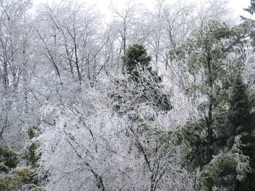 Ice Storm 04/15/2018