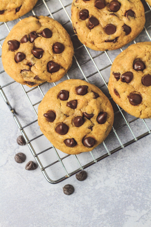 foodffs:  Banana Chocolate Chip Cookies Recipe source: Marsha’s Baking AddictionFollow for recipesIs this how you roll?