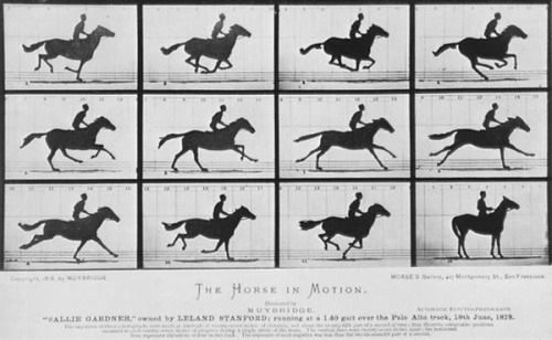 bobbycaputo:Eadweard Muybridge’s Studies in MotionBefore the use of moving pictures became prevalent