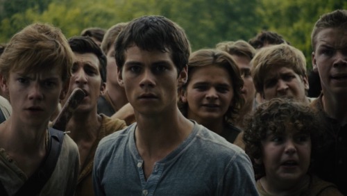 maze-scorch-cure:  Imagine All the boys just starring at you when you get out of the box cause not only are you the first girl they’ve ever seen they all think you’re the prettiest.   (Also look at chucks face in this😂😂😂😂)