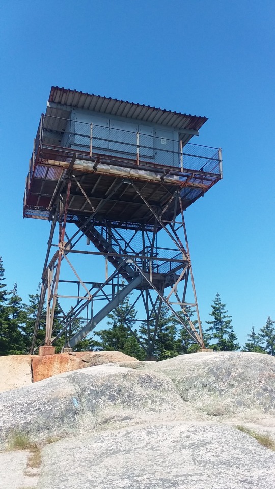 Just A Couple Photos I Wanted To Share. We Hiked Up Beech Mountain On Mt Desert Island A Little Bit Ago,