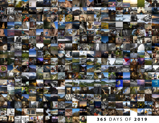 365 Days of E: Photo