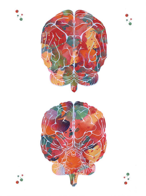 themedicalstate: NeuroArt by MimiPrints