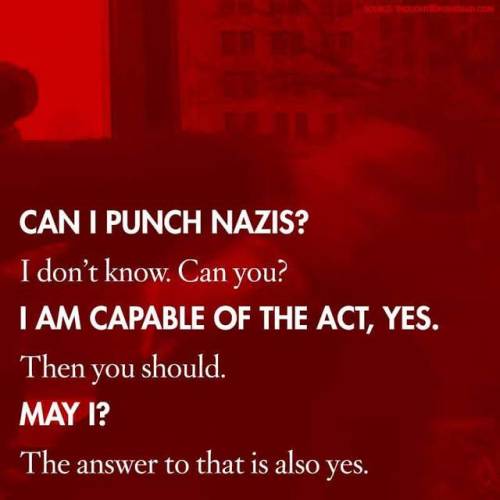 XXX zvaigzdelasas: http://thoughtsonthedead.com/on-the-propriety-of-punching-nazis-an-faq/ photo