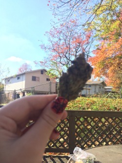 stoned-outta-my-mind420:  Fall leaves ft.