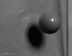 afro-dominicano:  xysciences:  Slow motion of a solid ball fracturing a pane of glass.  [Click for more interesting science facts and gifs]  wow, look at how it broke so.. uniformly though. you can see the force spread through out, stemming out to make