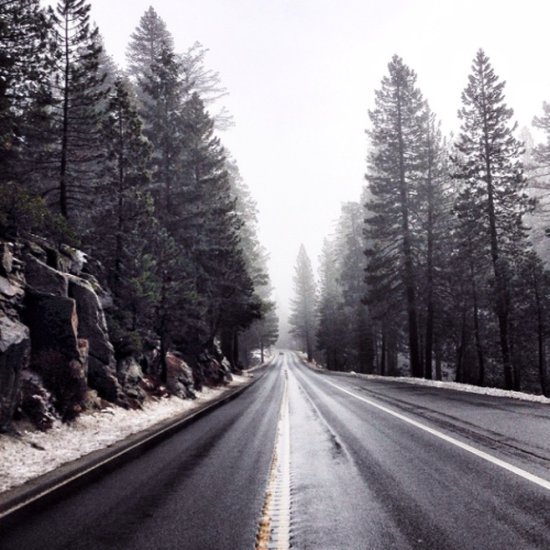 jazzbruce:  Photo by Blaine Nadeau