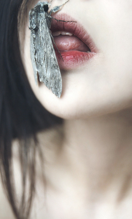 Find beauty in negative spaces
