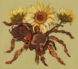 godzillabreath: Mexican red-knee tarantula and sunflower commission for Rachel
