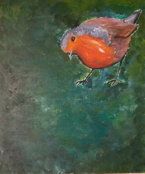 Three Robins Watching Each Other. FWM18.